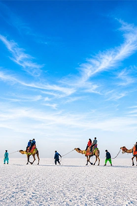 White Rann of Kutch Festival