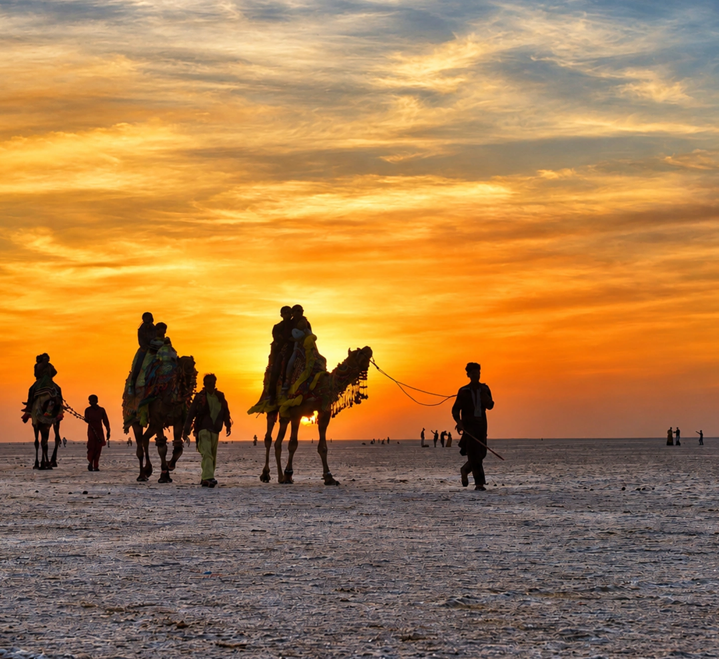 Rann Utsav Night in Kutch, Gujarat
